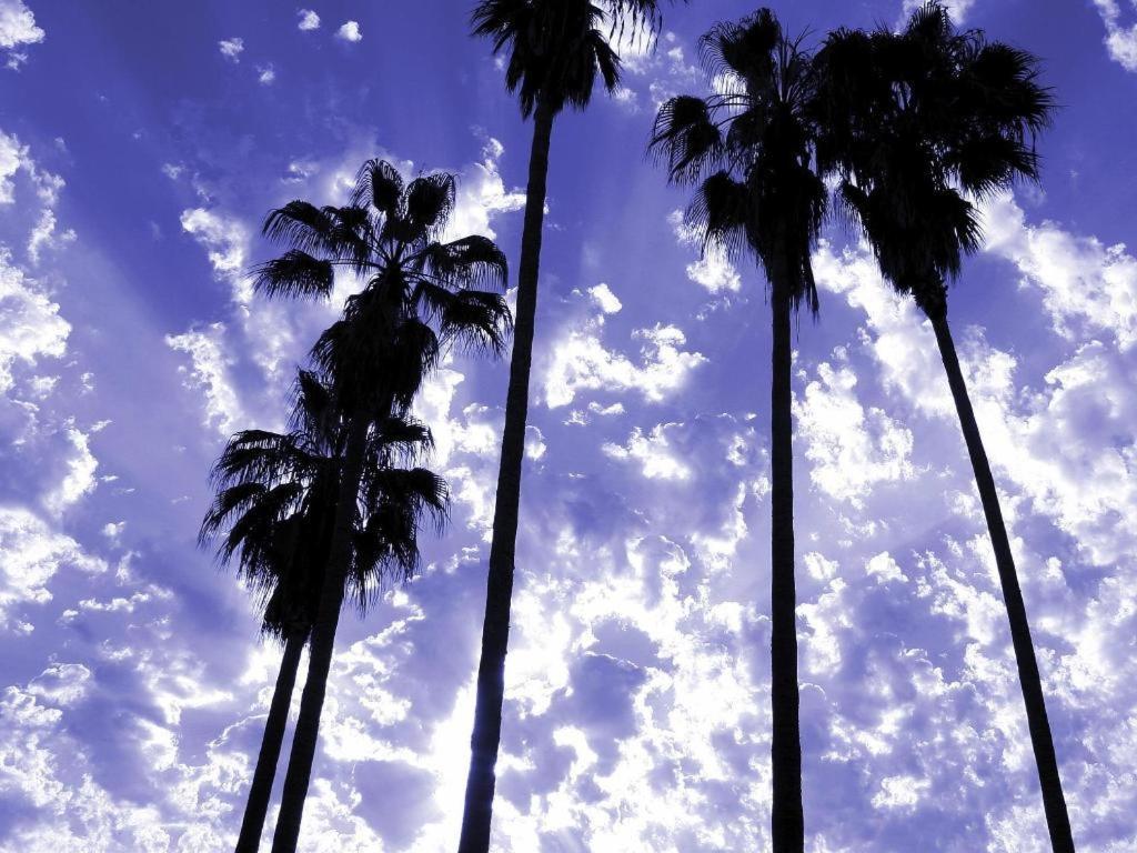 Parker Palm Springs Otel Dış mekan fotoğraf