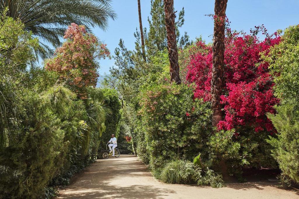 Parker Palm Springs Otel Dış mekan fotoğraf