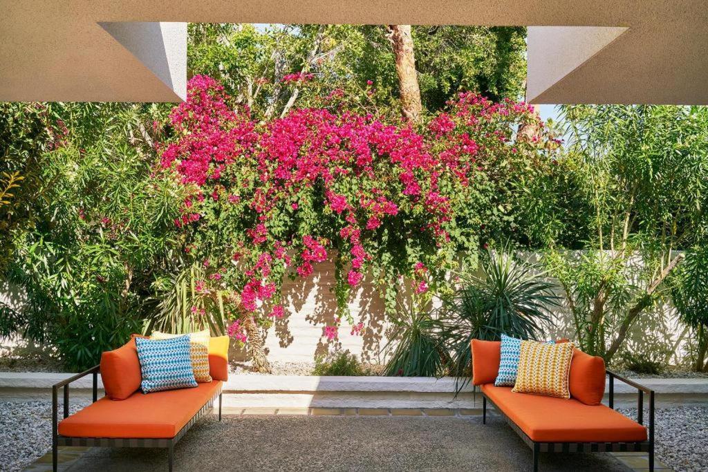 Parker Palm Springs Otel Dış mekan fotoğraf